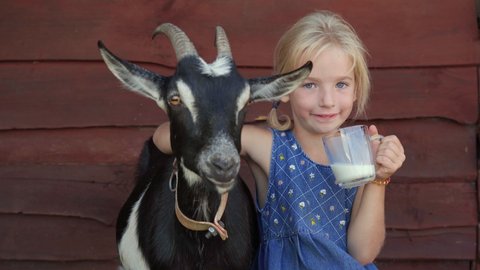The girl drinks goat milk from a mug and hugs her beloved goat.