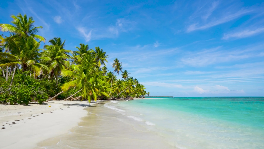 Vacation on wild Cuba beach. Palms beach and sea and sky landscape. Travel to paradise, summer sunny concept on the beach. 
