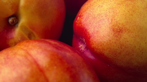 Sweet fresh nectarine dolly-shot in natural light close-up. 4k ProRes 422