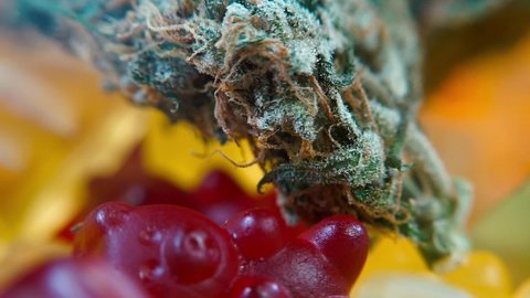 Gelatin bears with medical cannabis buds. CBD-infused food and beverages are still illegal under US law. Food for oncological patients. Pain relief of symptoms.