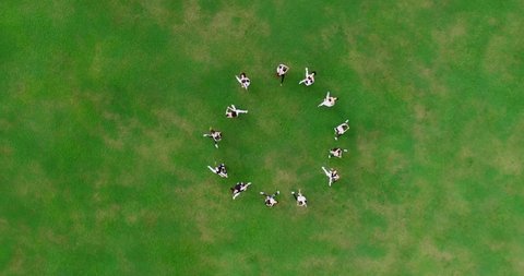 A group of young dancers dancing bachata on a large green lawn. The dancers are lined up in a circle and spinning. The guys are holding the girls in their arms. Aerial view. 4K Footage