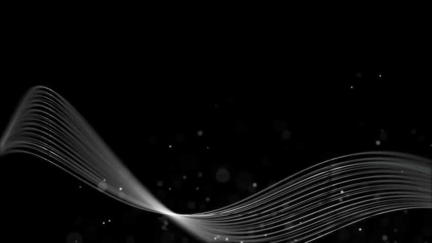 Shutterstock video thumbnail