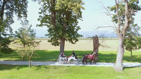 A drone shot of a newlywed riding on a carriage in a park.