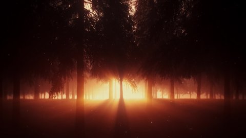 Orange Mystical Forest by Night with Light Rays - Loop Landscape Background