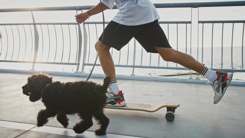 Black dog running next to man riding skateboard, close up, slow motion