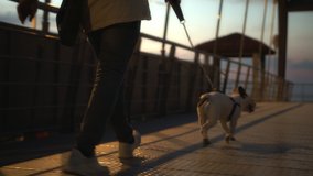 Handsome young man is walking with his dog in the sunset with a back bag in the bridge
