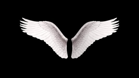 Angel wings looped with alpha channel - 3d render