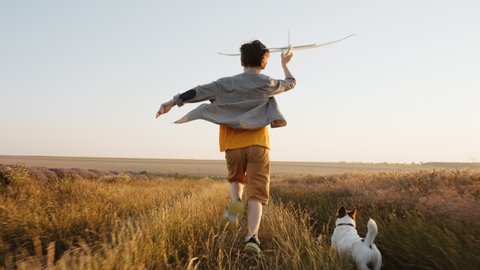 Happy boy runs Wheat Field  holding airplane in his hand, his dog Jack Russell Terrier on summer meadow sunset summer day towards bright sun slow motion. Go Everywhere lifestyle Childhood. Agro Farm