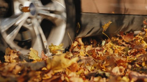 Wheel close-up, a car driving along an empty forest road, over vivid fallen autumn tree leaves in fall. Brown car driving through the beautiful autumn forest, swirling colorful leaves. Slow-motion