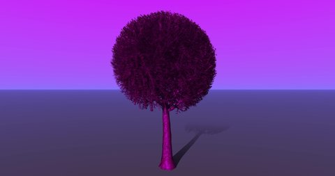 Circular tree growth animation concept. Tree growing on purple background environment. 