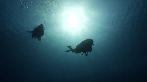 silhouette  scuba divers sun beam shine rays underwater lady woman diver relaxing blue ocean scenery of people