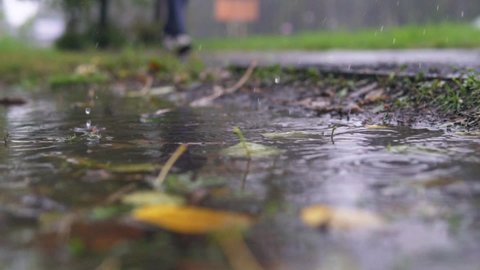 Fall raindrops falling into puddle with leaves, flooding the way. Grass track floods due to the rain with people and traffic on the background. Autumn town. Slow motion close up panorama.