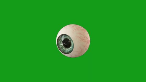 Blinking eyeball green screen motion graphics