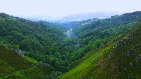 Cloud of vapour forming above a rain-soaked forest in Asturias, Spain between the interlocking spurs of a steep valley with a mountain range filling the expanse of the horizon covered by a blue haze.