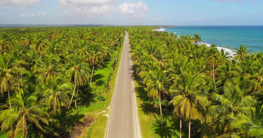 Majestic shot at the entrance of Nagua, Maria Trinidad Sánchez Province, with a view of the coconut trees, beautiful beach next to it, cars passing in the street, beautiful journey.