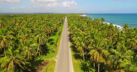 Majestic shot at the entrance of Nagua, Maria Trinidad Sánchez Province, with a view of the coconut trees, beautiful beach next to it, cars passing in the street, beautiful journey.
