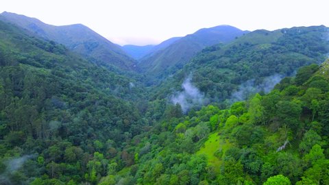 Steaming forests lining a steep valley in Asturias, Spain with vapour clouds condensing above the rich canopy of trees with a slope coming into view and a mountainous backdrop amongst blue a haze.