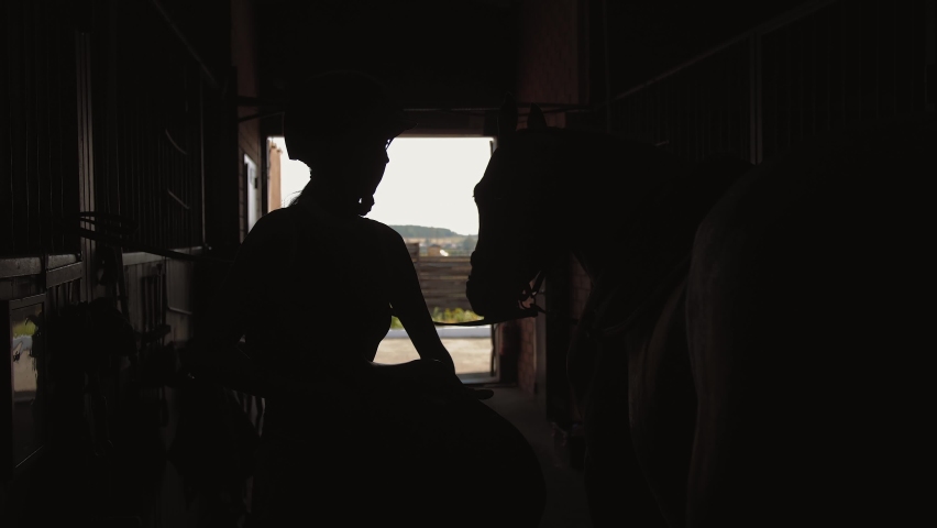 Silhouette of female rider puts saddle on her horse in stable. Professional jockey woman prepares animal for dressage. Royalty-Free Stock Footage #1059008093