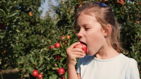 Kid little girl portrait eat bite ripe apple fruit staying in apple tree garden nature