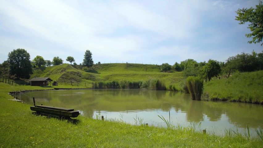 Idyllic pond in the middle of a meadow in summer