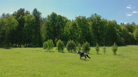 Aerial flying: gray horse with female rider galloping across field at summer sunny day. Woman horseman riding horseback on meadow in background of forest, drone shot.