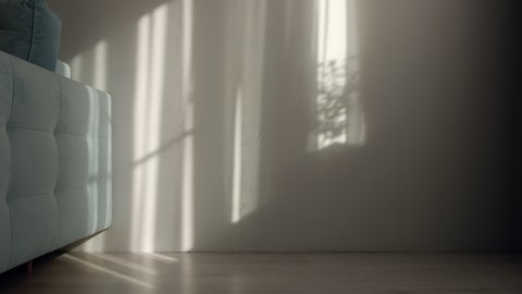 Morning sun lighting the room, shadow background overlays. Waving white tulle near the window.