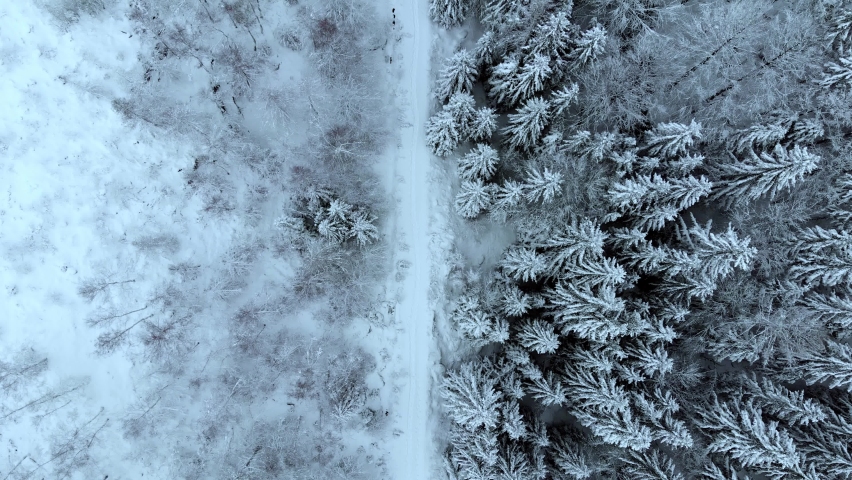 Aerial view overlooking a road, in middle of snow covered trees and snowy forest, on a dark, cloudy, winter day - Top down, drone shot Royalty-Free Stock Footage #1059039902