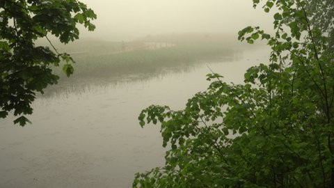 Foggy morning. Beautiful landscape with mist on a river. View through tree branches to the opposite grassy bank of the river with a calm water surface. A young person is going to work.