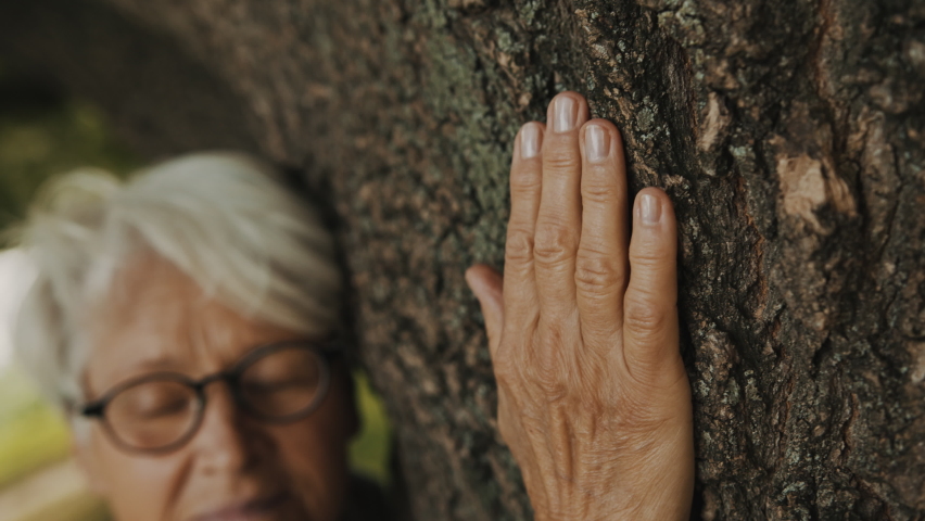 Old woman embracing an old tree. Close up on the hand. High quality 4k footage