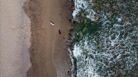 Aerial sea view. Girl plays with her dog on the sea beach. Rocky beach. Holiday on the sea. Drone video. 2.7k resolution