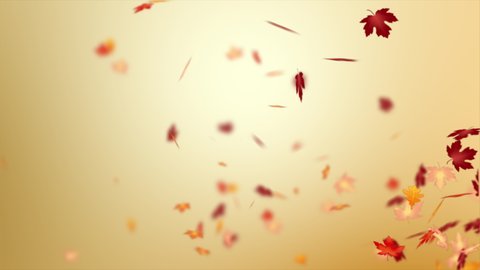 Abstract background for the autumn concept, falling maple leaf and dry leaf, shallow depth of field with blur effect