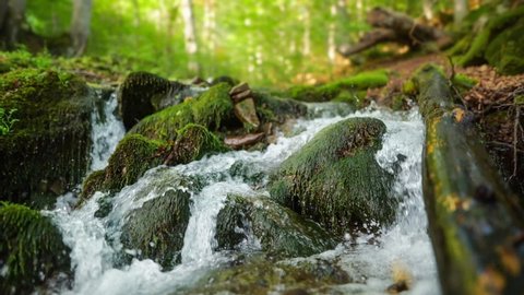 Stream running fast in summer green forest. Small waterfall with crystal clear water. Stones and logs covered with moss. Gimbal slow motion shot.