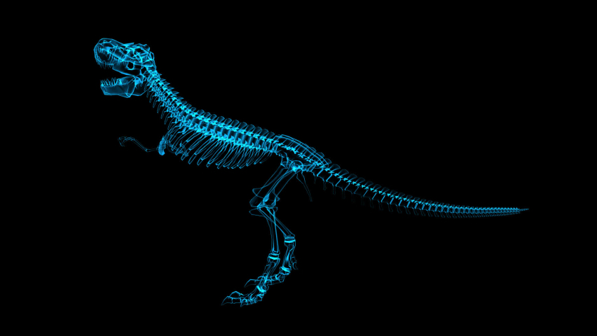 3d dinosaur skeleton hologram rotating on Stock Footage Video (100% ...