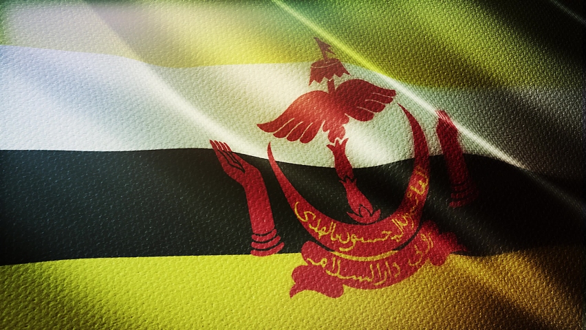 National Day Brunei Stock Video Footage - 4K and HD Video Clips ...