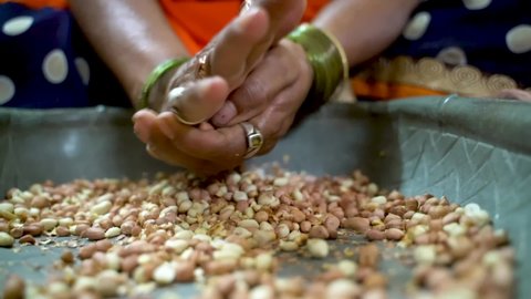Hand grinding nuts for a delicious Sabudana Khichdi, Sago Polenta dish - India