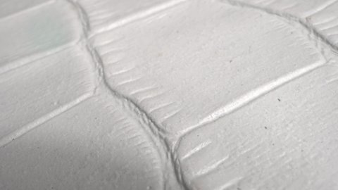The texture of the white skin of an animal very close up. Real leather with a natural pattern
