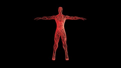 Artistic Humanoid revealed from wire. A rotating 360 degree camera reveals a human in a T-pose. It's a 4K .mov ProRes 4444 -16Bit, with Alpha Channel footage.