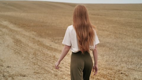 Back View of Ginger Woman with long Hair is walking on golden Field thoughtfully, enjoying Nature. Amazing Red-Haired Woman walking on golden Field in a stylish Outfit. Feeling Liberty at Countryside.