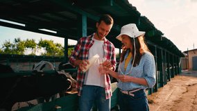 man pouring fresh milk in glass of woman in hat near cows