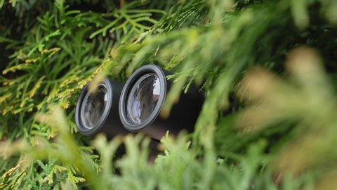 Person Hidden in Bush Peeping with Binoculars and Spying Others