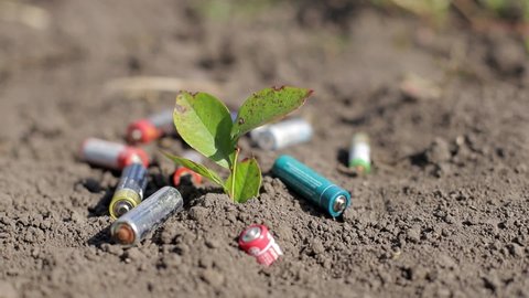 Used rechargeable batteries in the soil. The concept of environmental protection