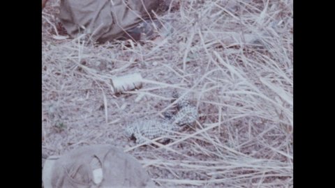 1960s Vietnam: Wounded men lay on ground. Corpse.