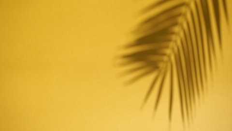 Shadow overlay. Blurred shadows of tropical palm leaves and plants on a yellow clean wall in sunlight. Copy space