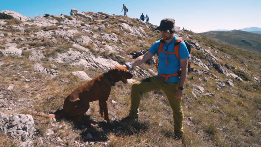 Young backpacker taking a rest at the top of the mountain, petting his hungarian vizsla dog