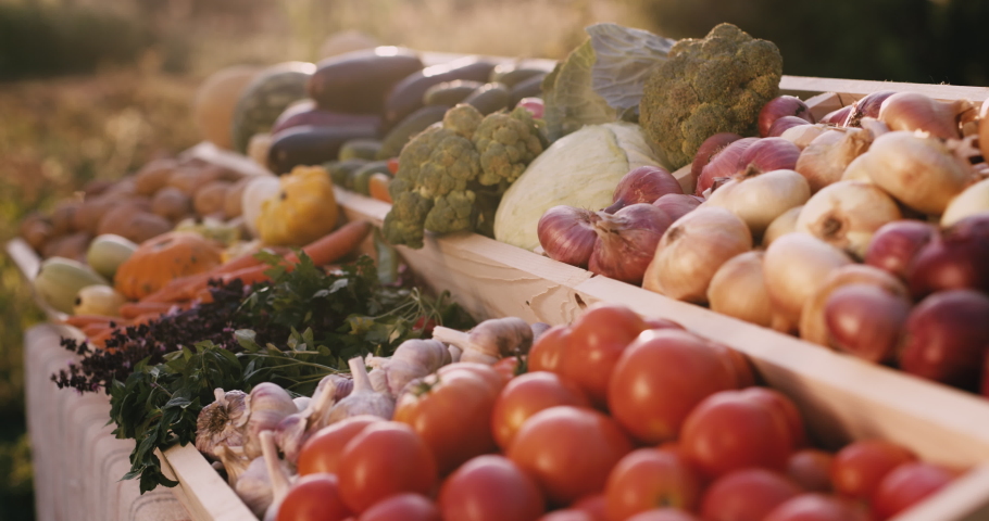 Slider shot: Vegetable counter at farmers market. Slider shot | Shutterstock HD Video #1059168056