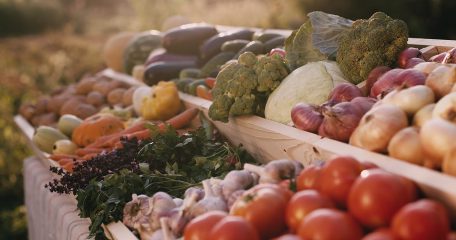 Slider shot: Vegetable counter at farmers market. Slider shot | Shutterstock HD Video #1059168056