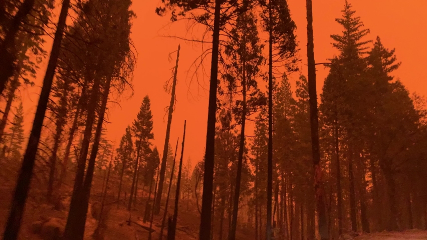 orange sky from large wildfire and smoky conditions Royalty-Free Stock Footage #1059170681