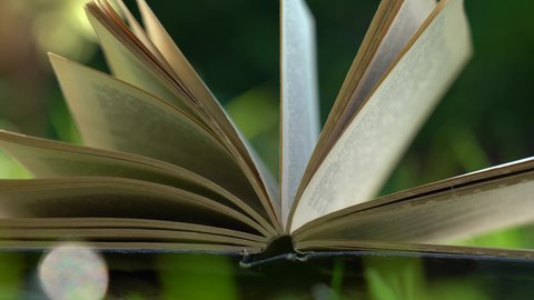 Closeup view 4k video of open paper old book laying outdoor on wooden background in green grass of countryside or park lawn.