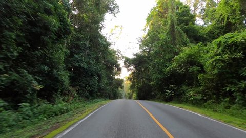 POV Car driving through a beautiful scenic forest road in morning at Khao Yai National Park, Thailand.
