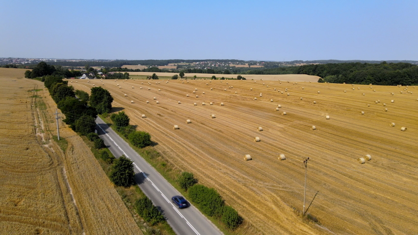 Aerial of harvested yellow farmland with hay bales drying in summer sun